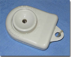 ���̌�������