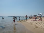 �T�j�[�r�[�`