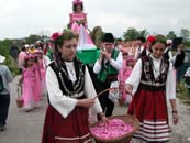 ���[�Y�t�F�X�e�B�o��3