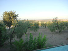 �z�e���̃I���[�u��