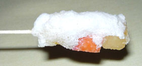 �t���[�c�W��̂�